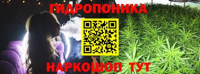 PSILOCYBIN Кунгур