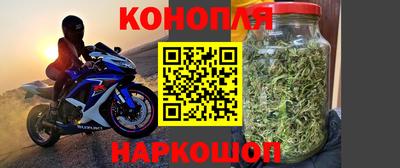 гашик Кулебаки