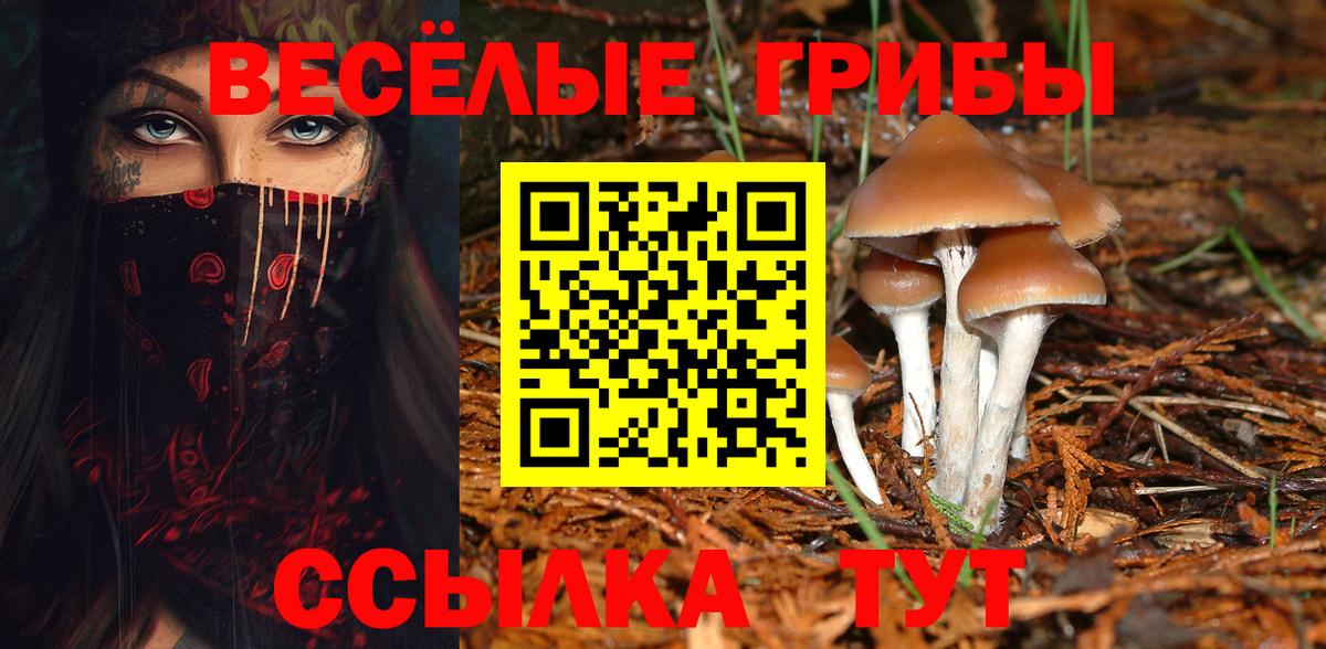 Псилоцибиновые грибы Cubensis Канаш
