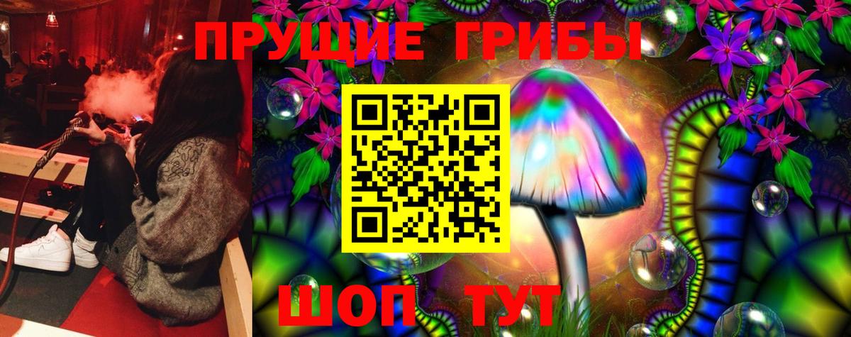 Канаш  Псилоцибиновые грибы Cubensis  купить   Вход с VPN 